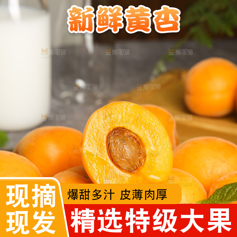 深底上的大黄杏