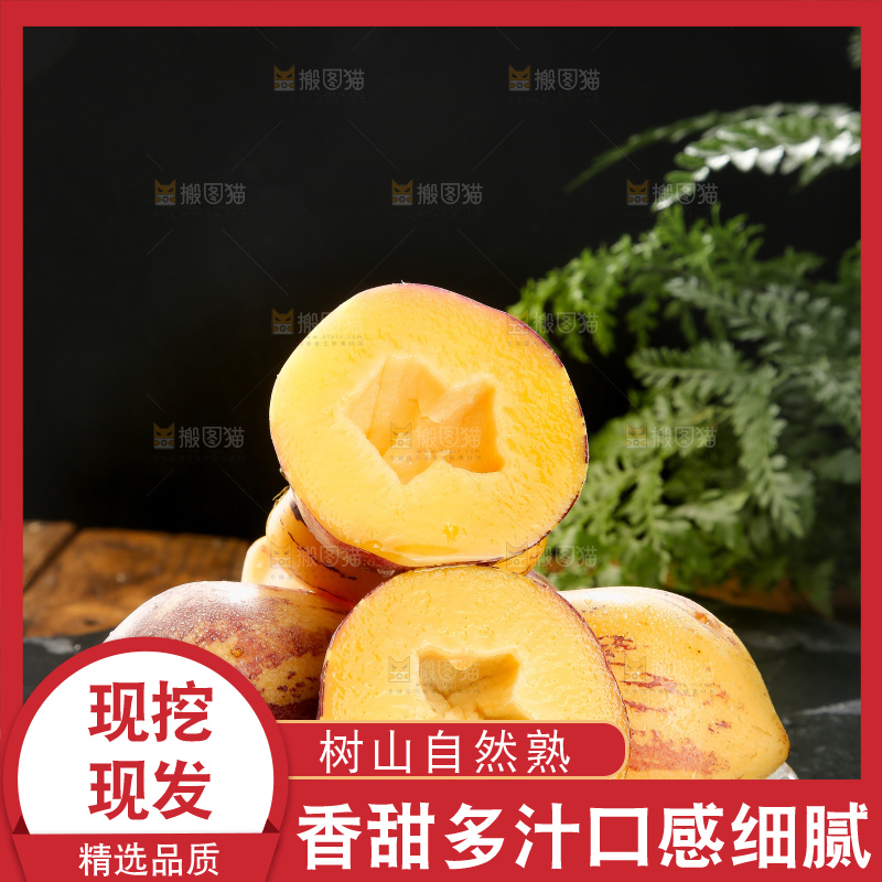 深底上的民勤人参果
