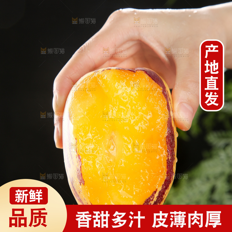 深底上的民勤人参果