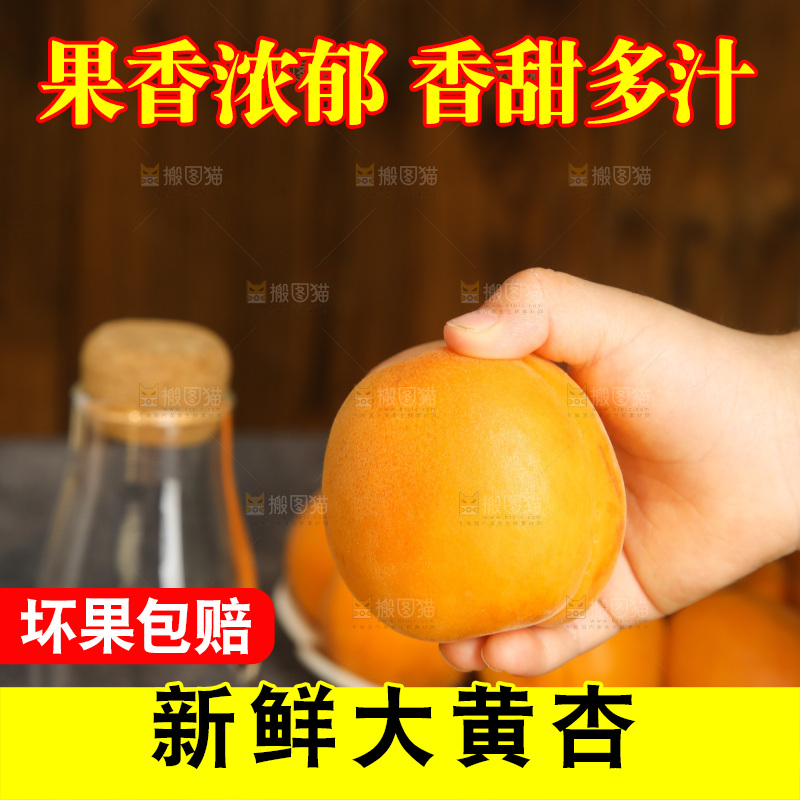 深底上的大黄杏