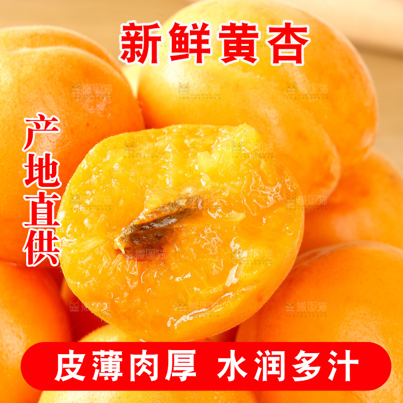 浅底上的大黄杏