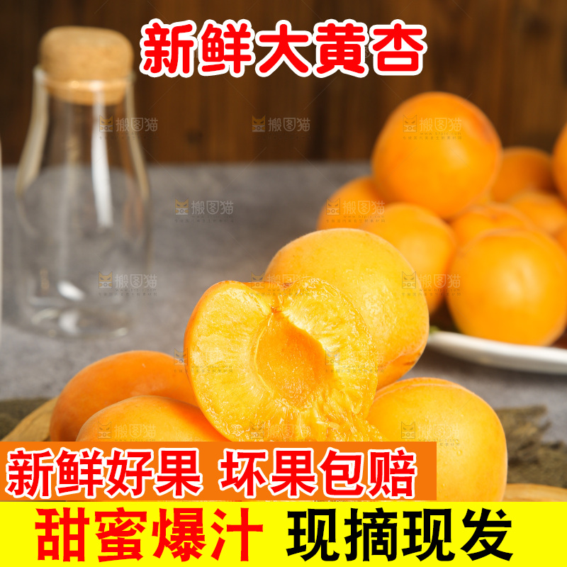 深底上的大黄杏