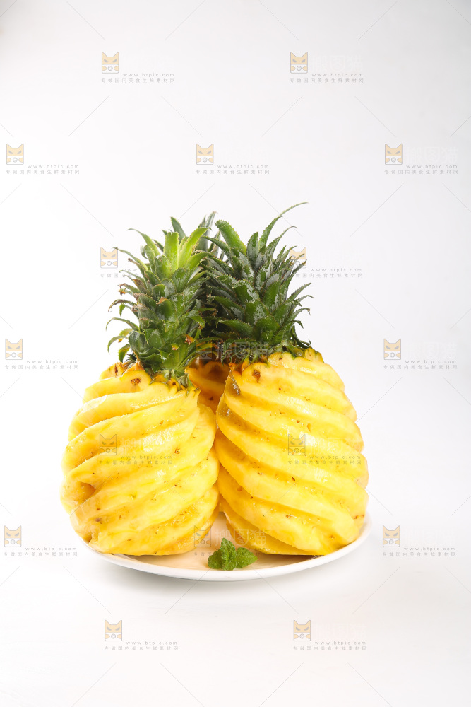 白底上的徐闻菠萝