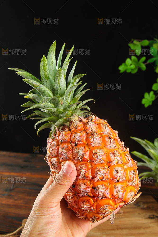 深底上的金钻凤梨