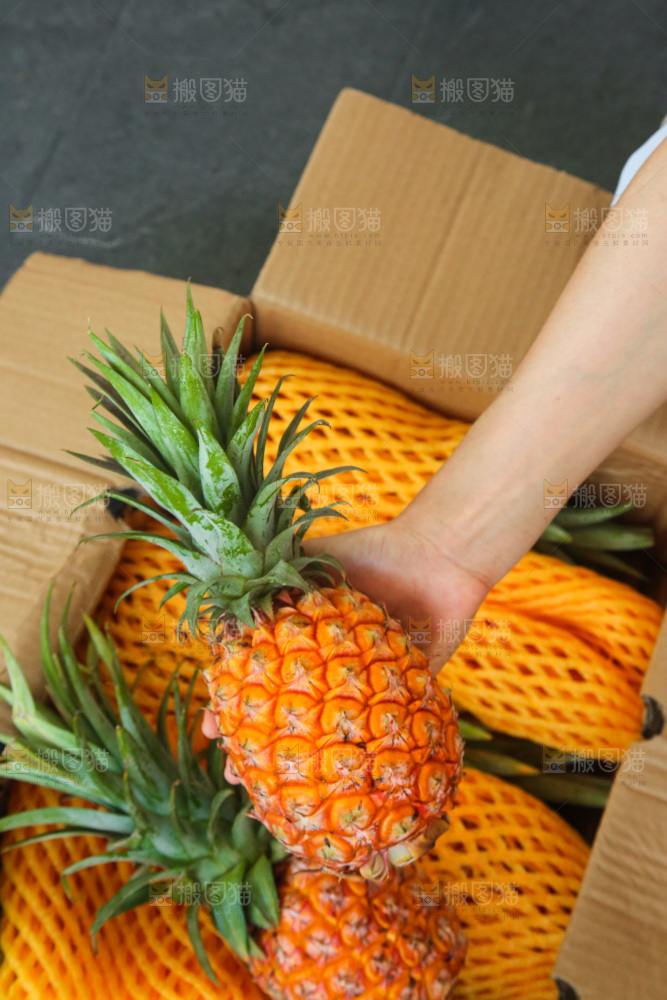 深底上的金钻凤梨