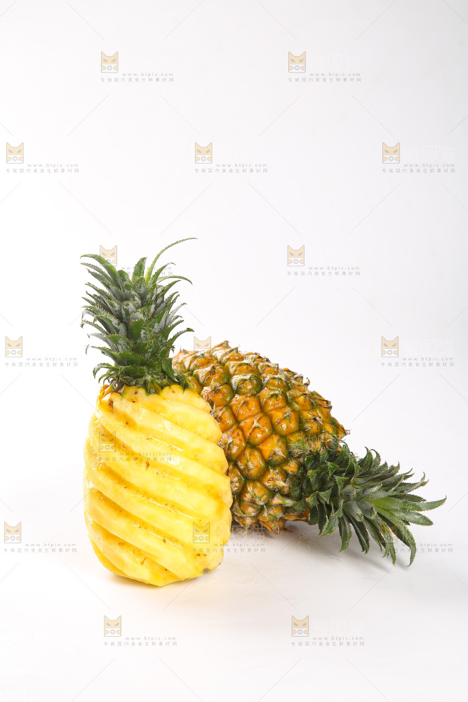 白底上的徐闻菠萝