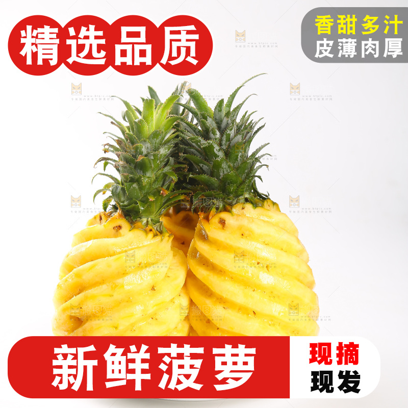 白底上的徐闻菠萝