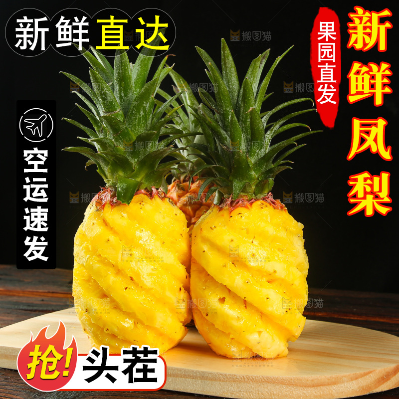 深底上的金钻凤梨