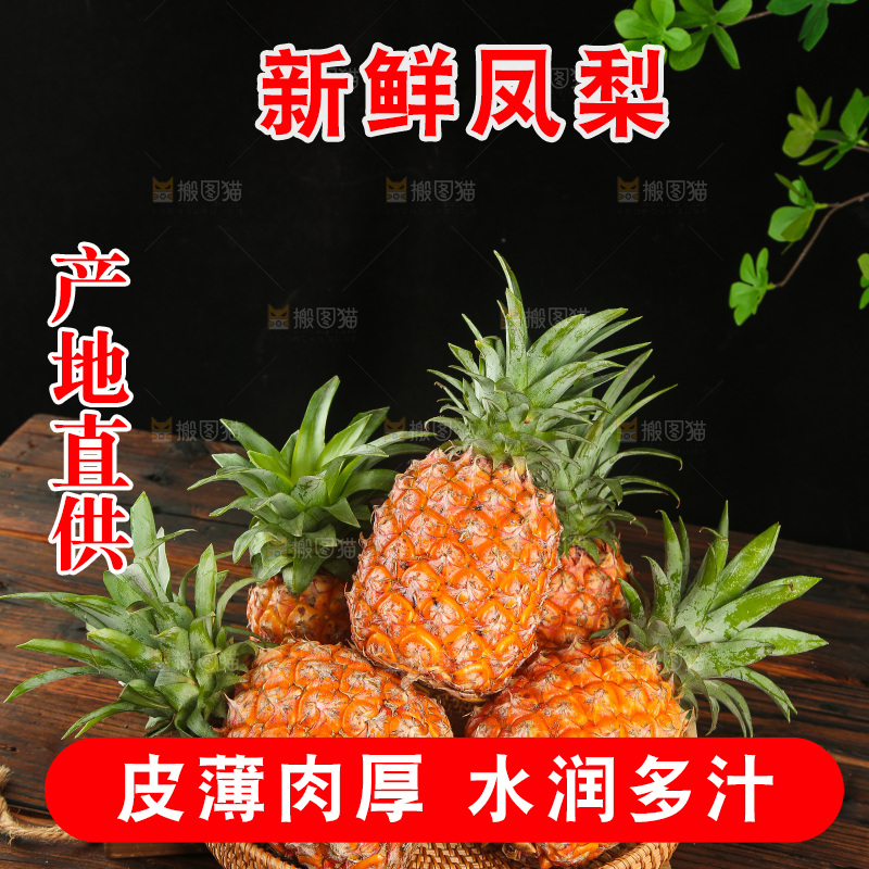 深底上的金钻凤梨