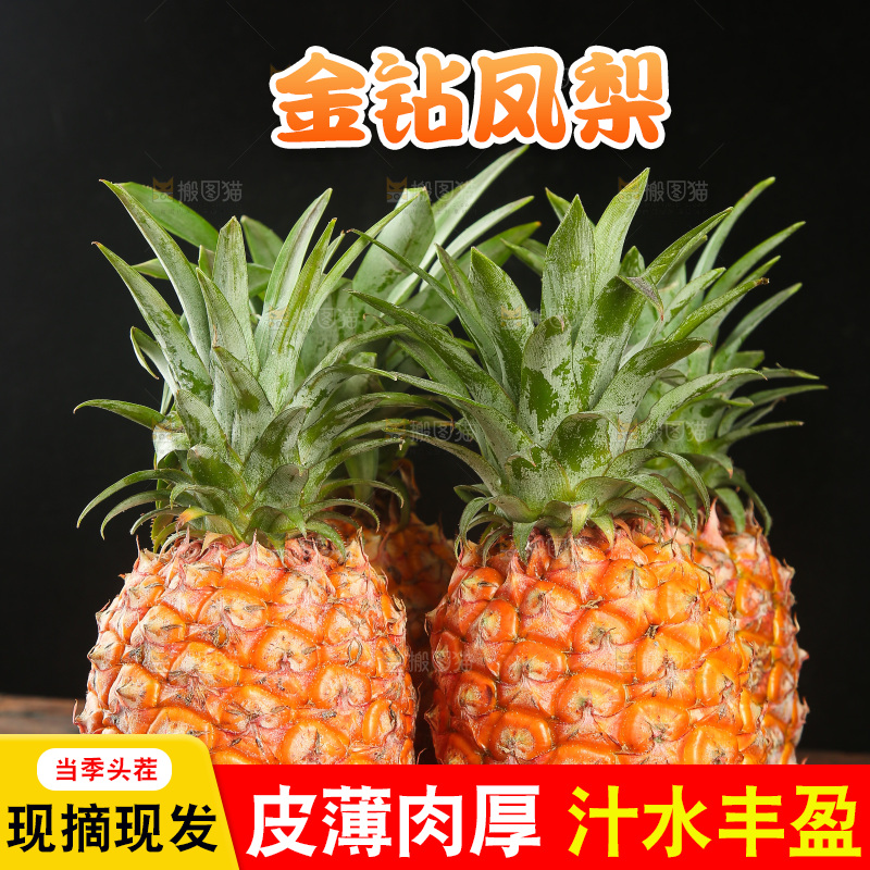 深底上的金钻凤梨