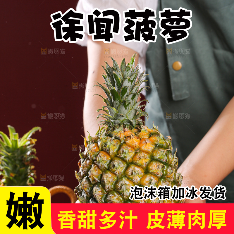 深底上的徐闻菠萝