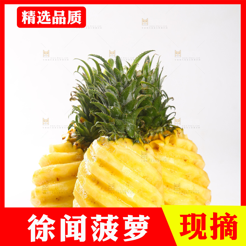 白底上的徐闻菠萝