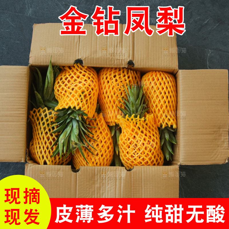深底上的金钻凤梨