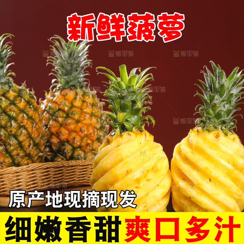 深底上的徐闻菠萝
