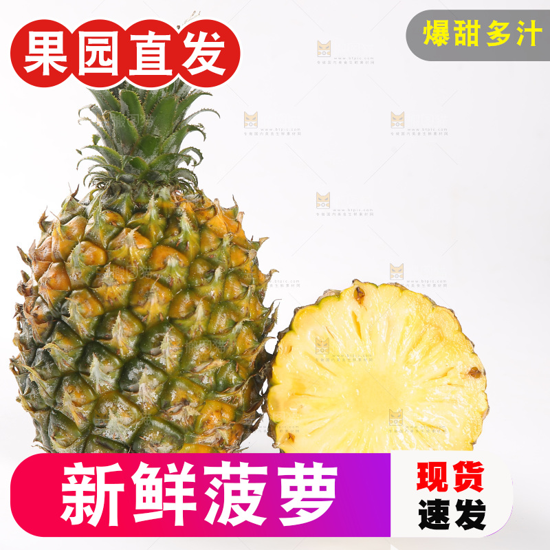 白底上的徐闻菠萝