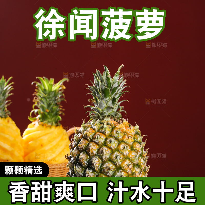 深底上的徐闻菠萝