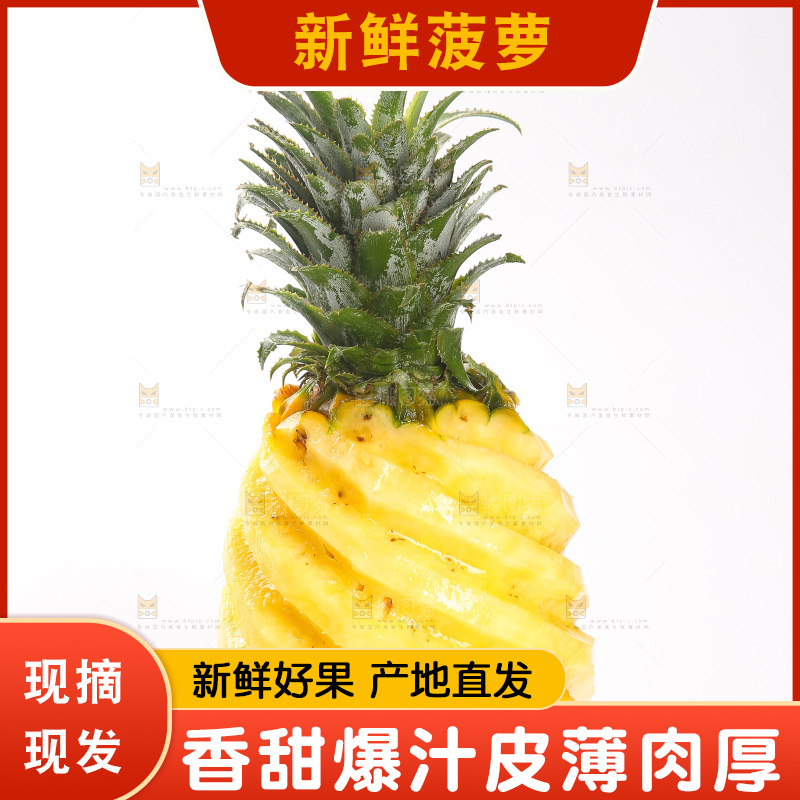白底上的徐闻菠萝