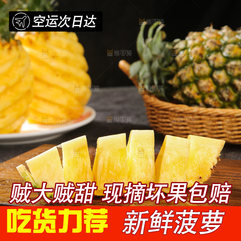 深底上的徐闻菠萝