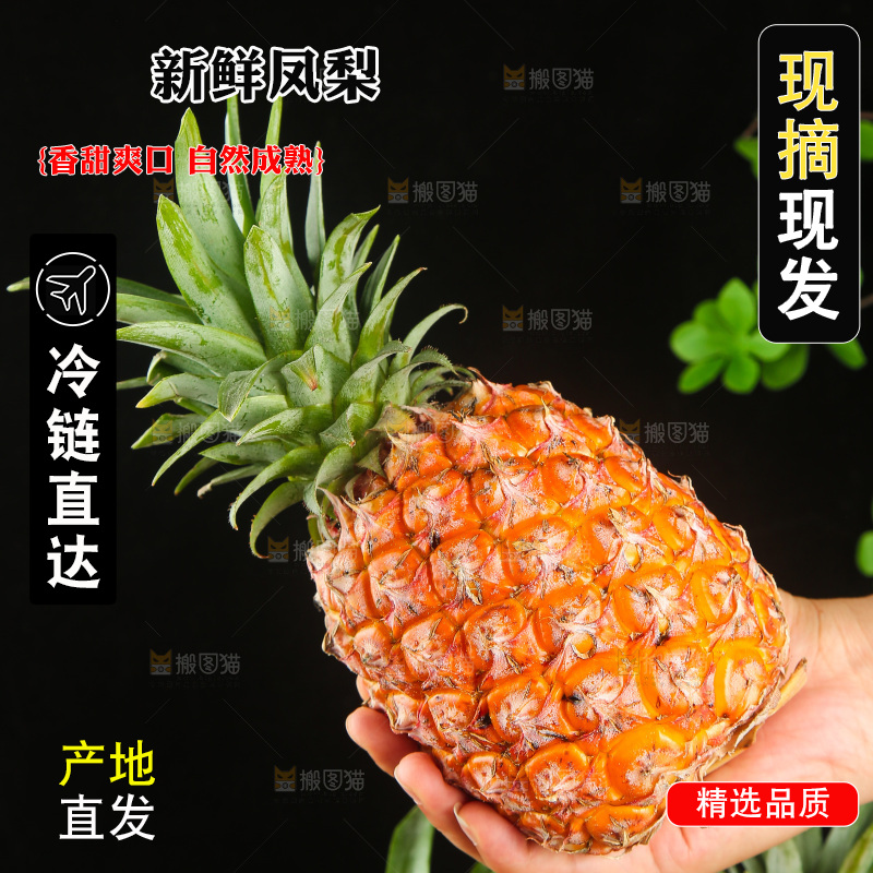 深底上的金钻凤梨