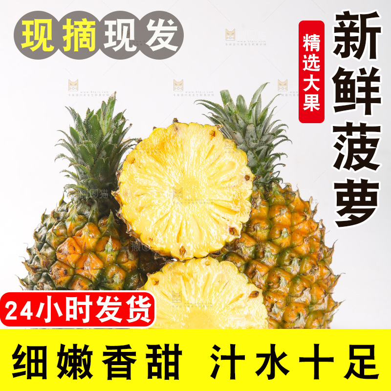 白底上的徐闻菠萝