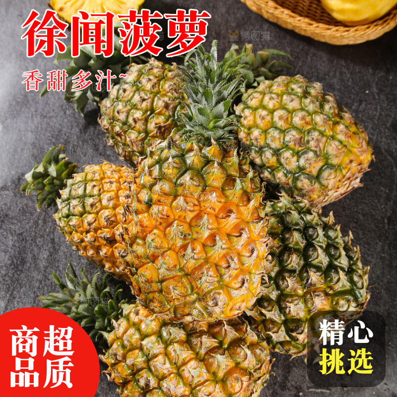 深底上的徐闻菠萝