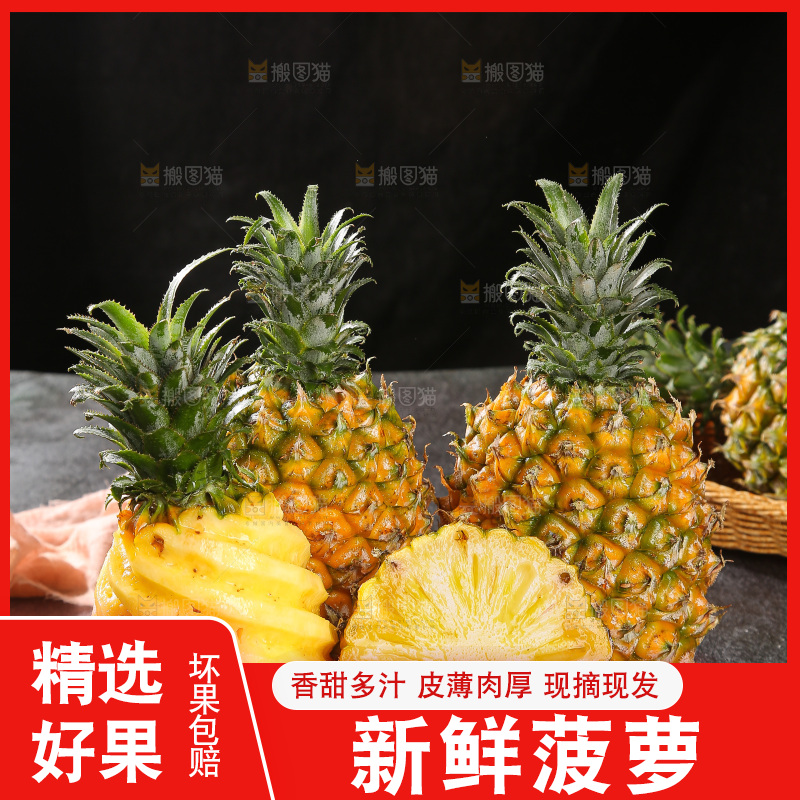 深底上的徐闻菠萝