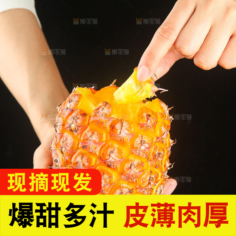 深底上的金钻凤梨