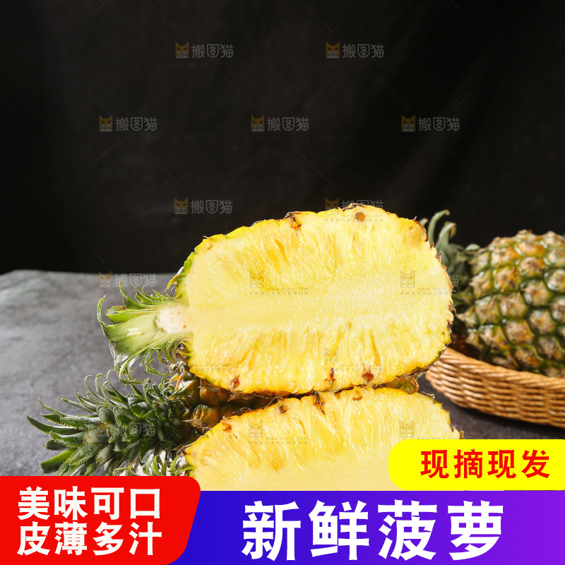 深底上的徐闻菠萝