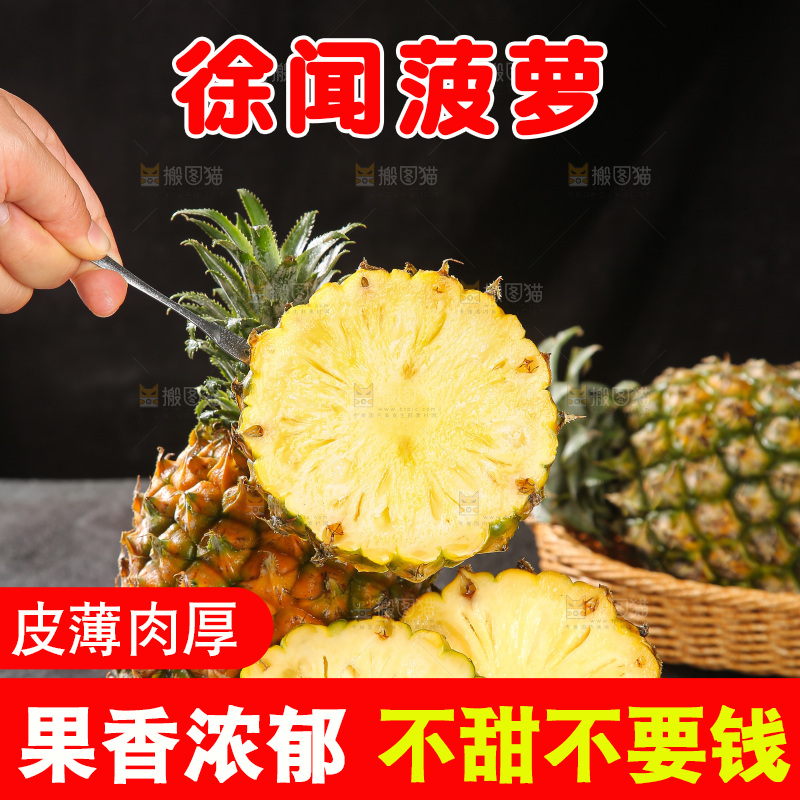 深底上的徐闻菠萝
