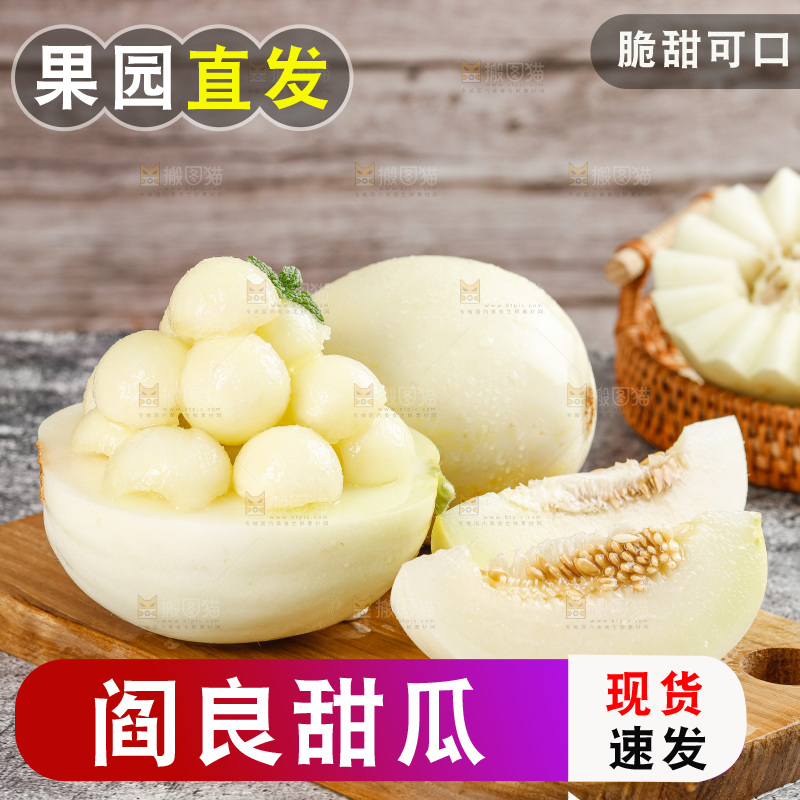 阎良甜瓜主图