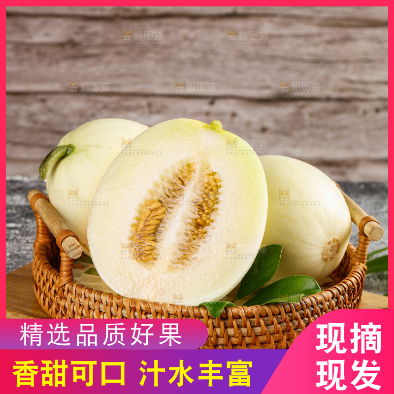 深底上的阎良甜瓜