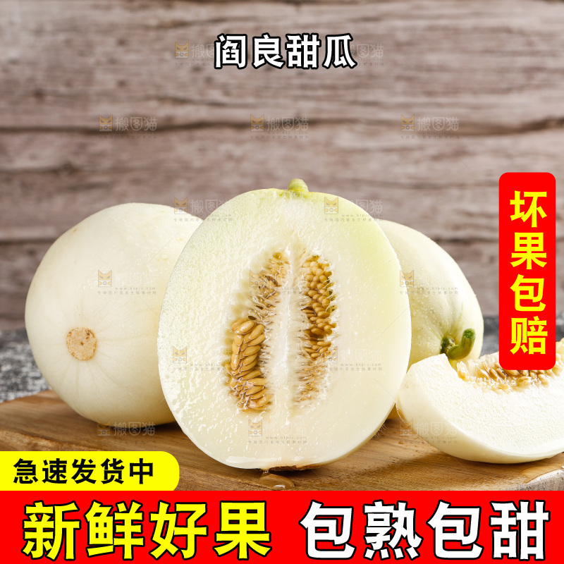 深底上的阎良甜瓜