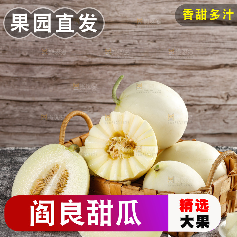 深底上的阎良甜瓜