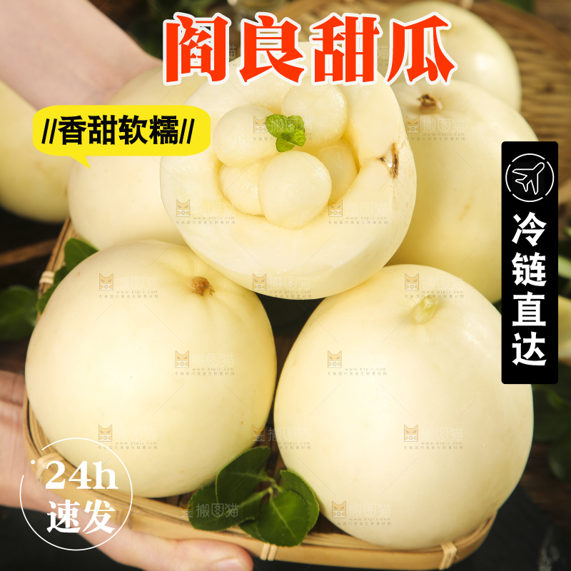 浅底上的阎良甜瓜