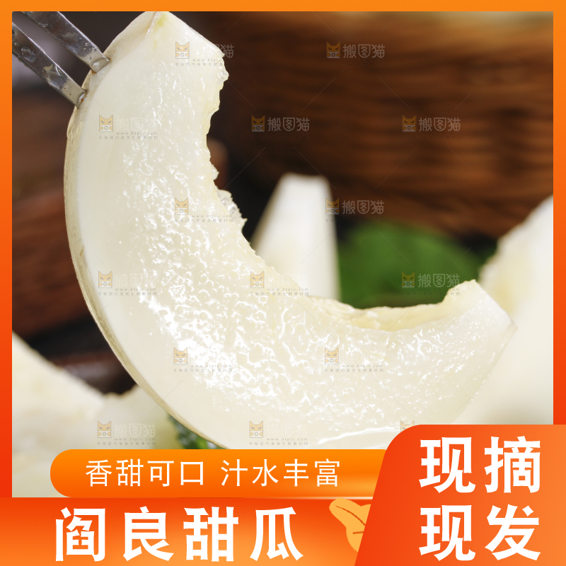 深底上的阎良甜瓜