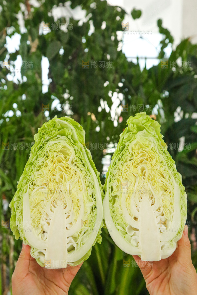 木底上的卷心菜