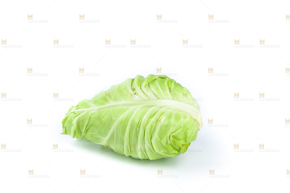 白底上的卷心菜