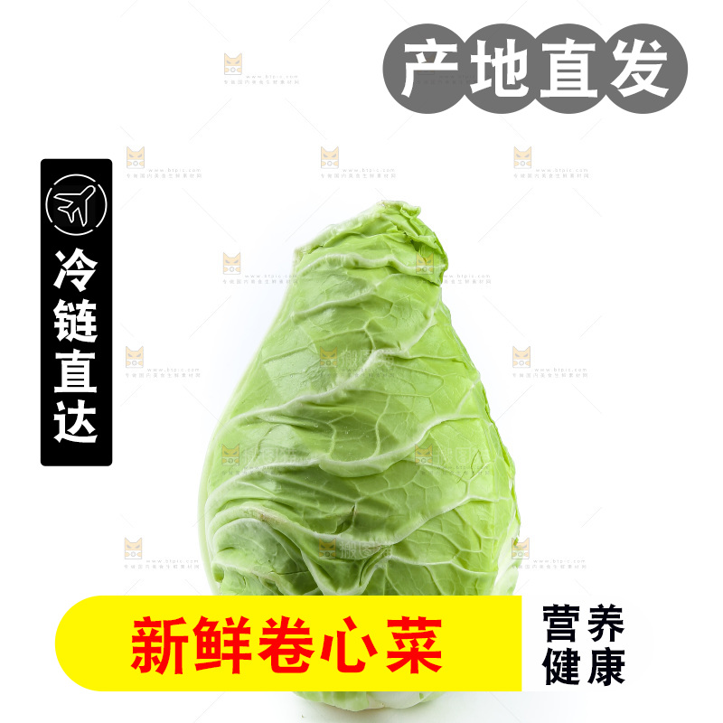 白底上的卷心菜