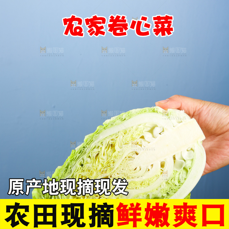 木底上的卷心菜