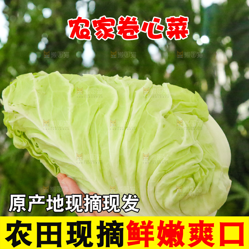 木底上的卷心菜
