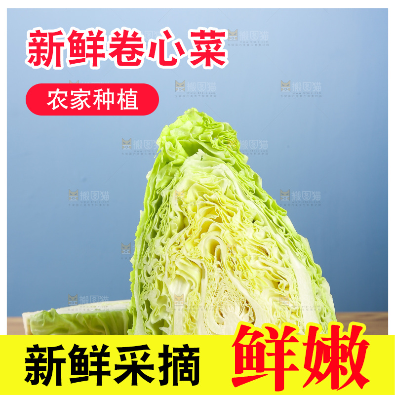 木底上的卷心菜