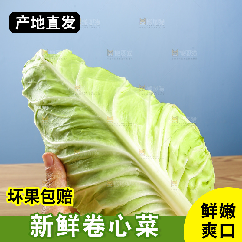 木底上的卷心菜