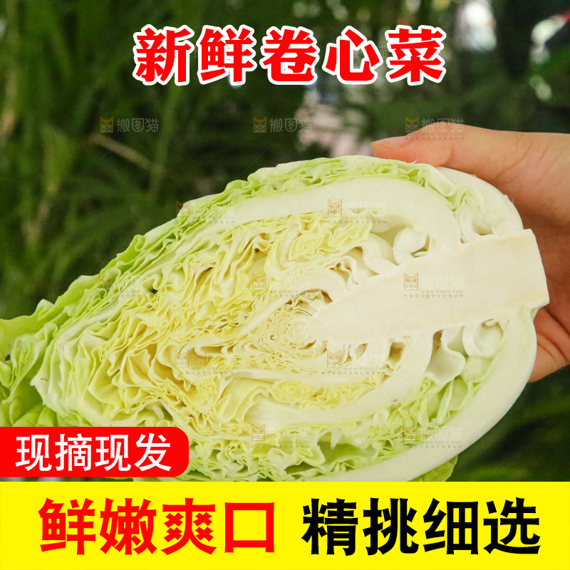 木底上的卷心菜