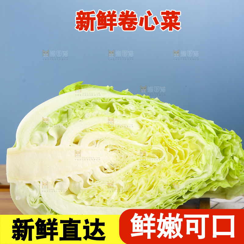 木底上的卷心菜