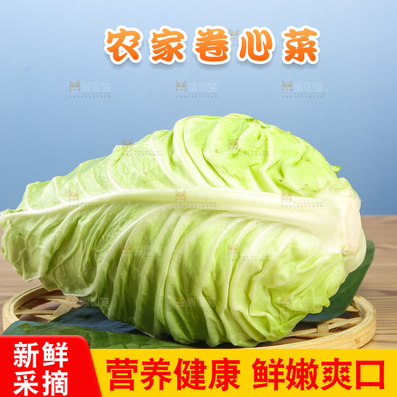 木底上的卷心菜