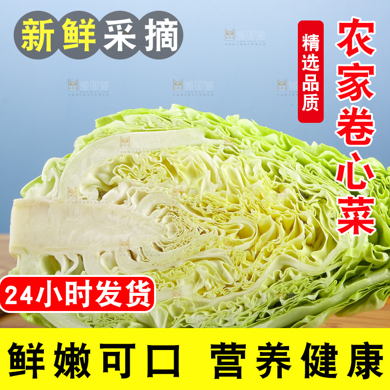 木底上的卷心菜
