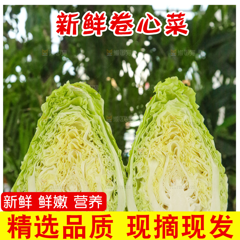 木底上的卷心菜