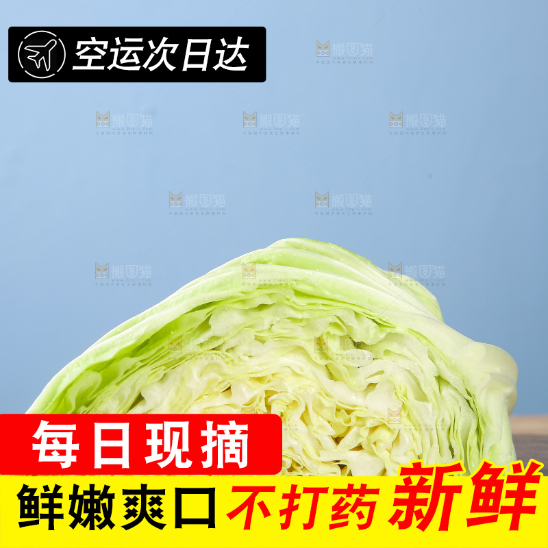 木底上的卷心菜