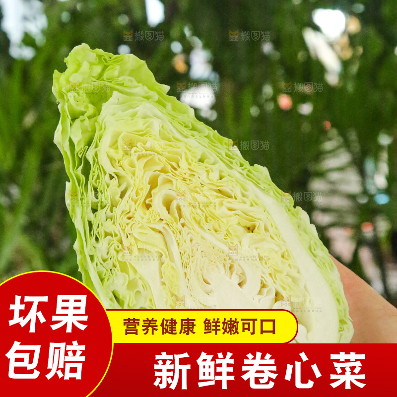 木底上的卷心菜