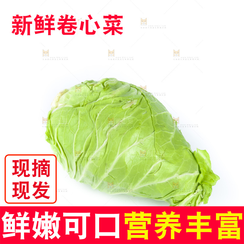 白底上的卷心菜